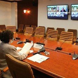 Представители ряда ведомств участвовали в совещании по видеосвязи. Фото пресс-службы Совфеда