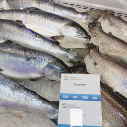 Под брендом «Русская рыба» были представлены достижения и продукция компаний-участников выставки