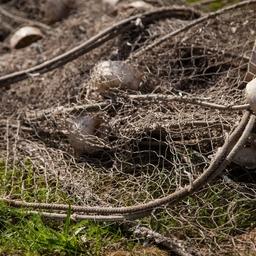 Сети рыбоводного хозяйства в Подмосковье