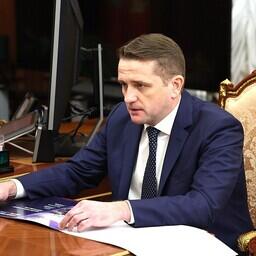 Руководитель Росрыболовства Илья ШЕСТАКОВ доложил главе государства результатах работы отрасли. Фото пресс-службы президента