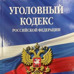 Местный житель обвиняется в приобретении, хранении в целях сбыта и сбыте продовольственных товаров без маркировки и нанесения информации, предусмотренной российском законодательством, в особо крупном размере (пункт «б» части 4 статьи 171.1 УК РФ)