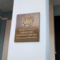 Росрыболовство внесло изменения в распределение квот на 2025 год