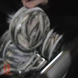 В Красноярском крае полицейские изъяли большую партию браконьерской продукции из осетровых. Кадр оперативной съемки