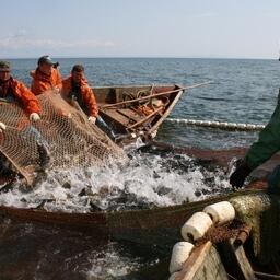 Законодательство о рыболовных участках стало важнейшим вопросом для координационного совета в 2023 году