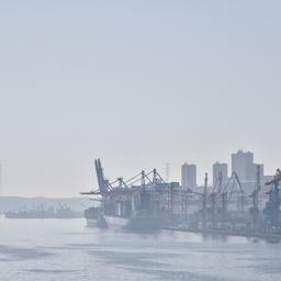 Владивостокский морской рыбный порт