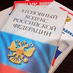 В зависимости от роли и степени участия фигуранты обвиняются по частям 1 и 3 статьи 258.1 УК РФ