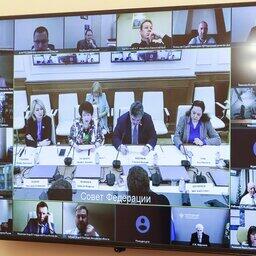 Многие представители регионов и ведомств участвовали в мероприятии по видеосвязи. Фото пресс-службы Совфеда