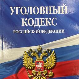 Прокуратура в Приморье добилась уголовного наказания для добытчика морского ежа