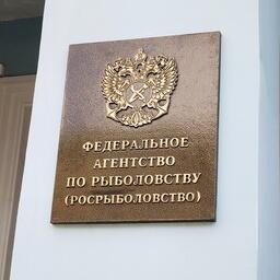 Правительство актуализировало список учреждений и унитарных предприятий, находящихся в ведении Росрыболовства