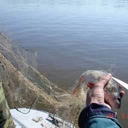 Совместные рейды на реках Самарской области