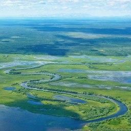 Долина Оби вблизи Салехарда. Фото Николая Максимовича
