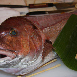 Фестиваль российской рыбы и морепродуктов, Москва, 27 мая 2010 г.