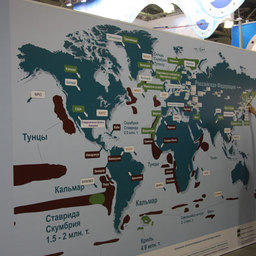 Международная рыбохозяйственная выставка InterFISH