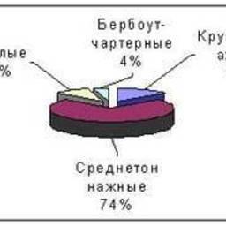 Рисунок 1 ? Процентное соотношение судов Мурманского рыбопромышленного комплекса по типам на 2005 год