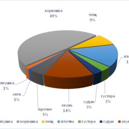 Видовой состав промышленных уловов в южной части Ладожского озера. График предоставлен пресс-службой Северо-Западного теруправления Росрыболовства
