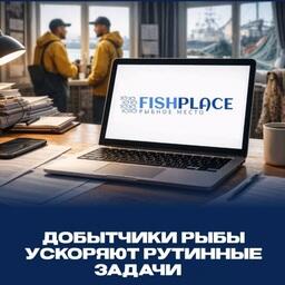 Отраслевая цифровая платформа Fishplace.ru внедряет автоматическую регистрацию биржевых сделок с рыбой. Изображение предоставлено ООО «Мой Фиш Плэйс»