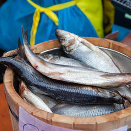 В октябре продукция «Русской рыбной фактории» была широко представлена как на столичных выставках-ярмарках, так и на специализированных смотрах