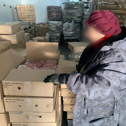 Астраханка подозревается в приобретении более 22 тонн немаркированной рыбной продукции. Фото пресс-службы регионального УМВД