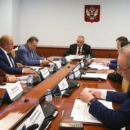 Поправки рассмотрели на заседании рабочей группы по мониторингу принятия НПА в области рыболовства и аквакультуры. Фото пресс-службы Совета Федерации