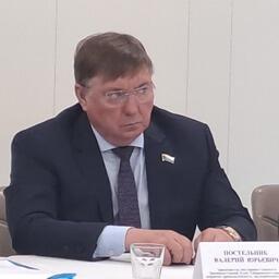 Председатель постоянного комитета по вопросам промышленности, предпринимательства и инфраструктуры Законодательной думы Хабаровского края Валерий ПОСТЕЛЬНИК
