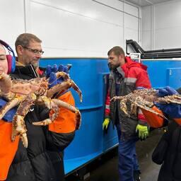 Экскурсия в цех по передержке живого краба в рамках всероссийского профориентационного проекта «Билет в будущее». Фото пресс-службы ГК «Антей»