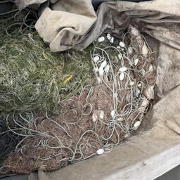 Правоохранители изъяли 16 орудий лова. Фото пресс-службы УМВД России по Хабаровскому краю