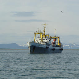 Будущее отрасли – за поколением миллениума