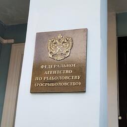 Росрыболовство 21 мая проведет «аукцион на понижение» для проектов по строительству флота под инвестквоты