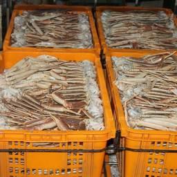 «Подфлажник» Izreal задержали в начале августа с грузом крабовой продукции на борту. Фото пресс-службы Погрануправления ФСБ России по Сахалинской области