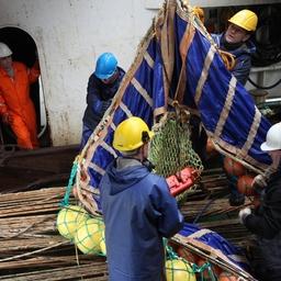 Всероссийская перепись населения для моряков российского рыболовного и торгового флота будет иметь свои особенности