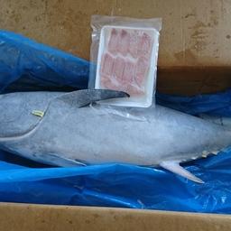 Тунцовое мясо очень популярно в Японии. Теперь рестораны предложат посетителям и его аналог, произведенный по технологии культивирования клеток