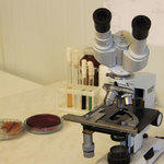 В администрации Президента указали на недоработки законопроекта о ветеринарии
