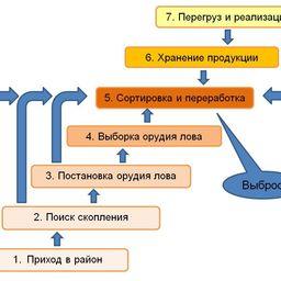 Рисунок 1. Схема промыслового цикла рыбодобывающего судна, оборудованного технологической линией по переработке улова
