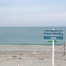 Участок для любительской рыбалки на Сахалине