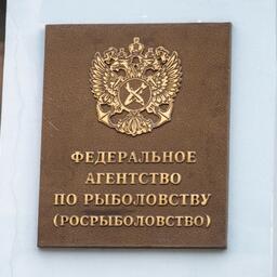 Подготовлены поправки в Положение о Федеральном агентстве по рыболовству.