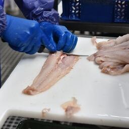 В числе оснований для применения вычета — производство определенных видов продукции