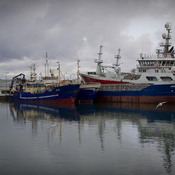 Суда для лова сельди, Дания. Фото: Evert-Jan Daniëls, Dutch Fish Marketing Board