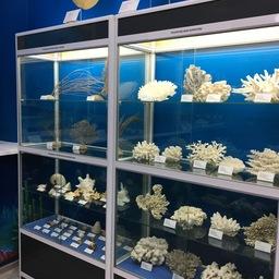Морской музей Тихоокеанского филиала ВНИРО (ТИНРО)