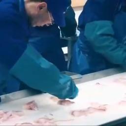 По программе инвестиционных квот уже запущены современные береговые заводы