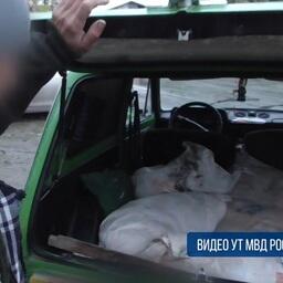 Мешки с украденной рыбой перегрузили в багажники автомобилей. Кадр оперативной съемки полиции