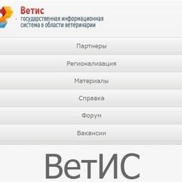 В документе идет речь о работе во ФГИС «ВетИС» - государственной информационной системе в сфере ветеринарии