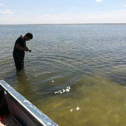 Исследования на Веселовском водохранилище. Фото пресс-службы АзНИИРХ