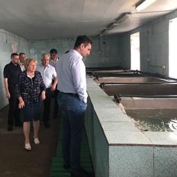 Первый заместитель директора ВНИРО Николай КУЛИК познакомился с работой подразделений Азово-Черноморского филиала института. Фото АзНИИРХ