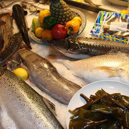 Фестиваль российской рыбы и морепродуктов, Москва, 27 мая 2010 г.