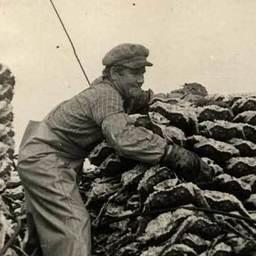 Разгрузка стропа с крабом