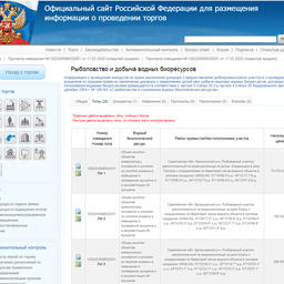 Аукционная документация размещена на сайте torgi.gov.ru