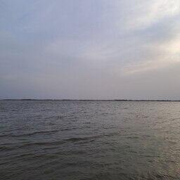 Амур — место обитания ценных рыб, в том числе осетровых. Архивное фото
