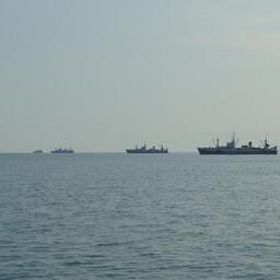 С сентября вступят в силу изменения закона, предусматривающие систематизацию сведений о недобросовестных участниках аукционов в рыбном хозяйстве в специальный реестр