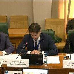 О мерах поддержки поставок продукции отечественного АПК рассказал на совещании в Совете Федерации представитель Российского экспортного центра Денис КАЗАННИКОВ. Скриншот трансляции