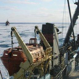 Теруправлениям Росрыболовства поручили усилить контроль соблюдения судовладельцами мер по борьбе с коронавирусом
